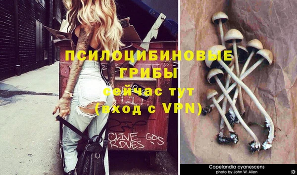 каннабис Баксан