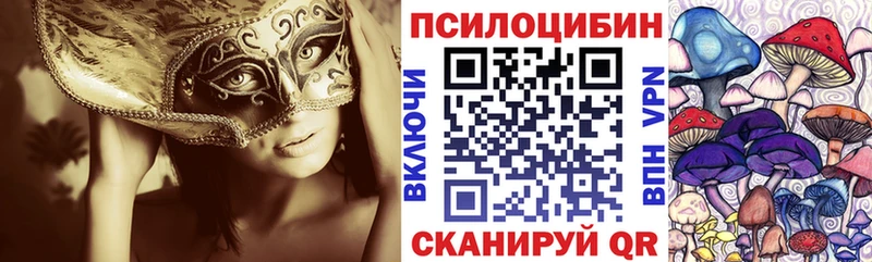 Галлюциногенные грибы MAGIC MUSHROOMS  Купить  Гремячинск 
